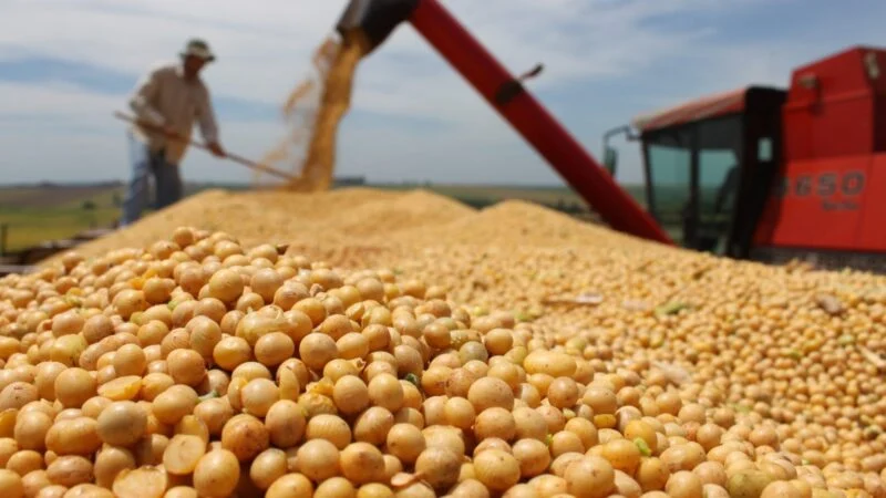 Compra e Venda de Commodities